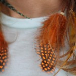 TESSTED: Feather Extensions