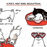 A PUG’S NEW YEARS RESOLUTIONS
